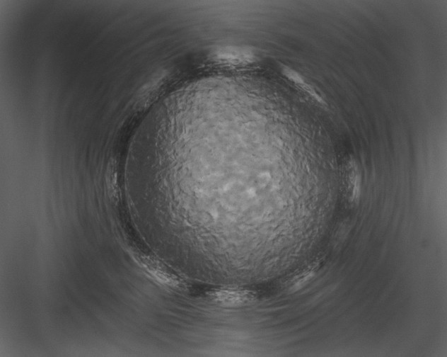 X0000084020615200702232233