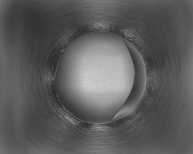 X0000084020617200702232233