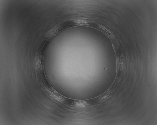 X0000084020618200702232233