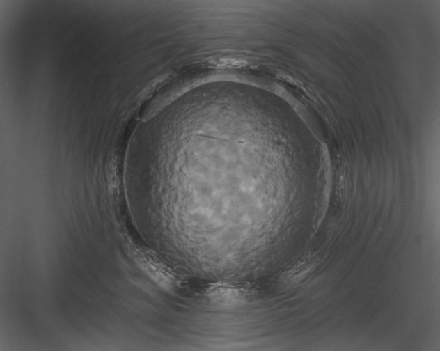 X0000084020620200702232233