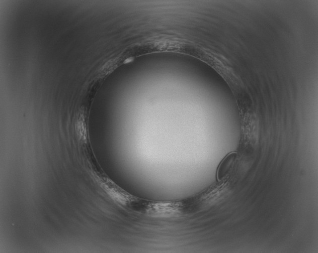 X0000084020622200702232233