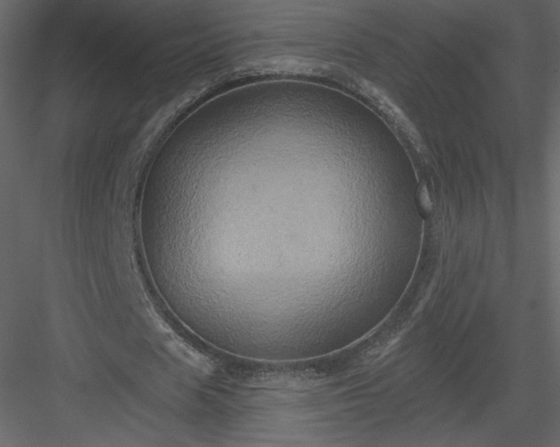 X0000084020625200702232232