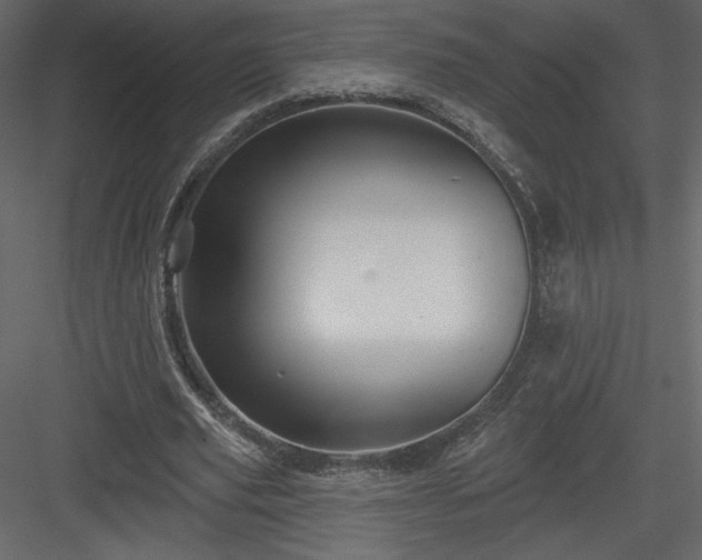 X0000084020629200702232232