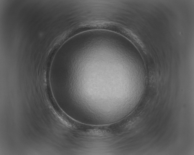 X0000084020633200702232232