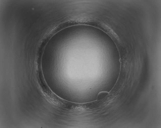 X0000084020635200702232233