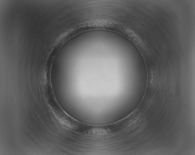X0000084020636200702232233