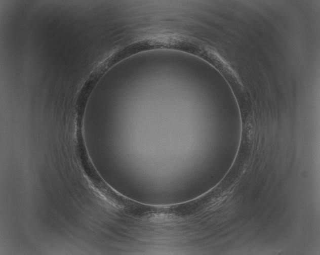X0000084020637200702232233