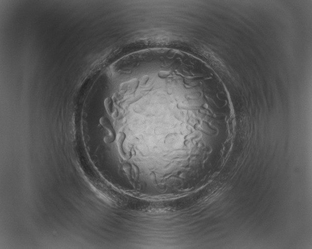 X0000084020638200702232233