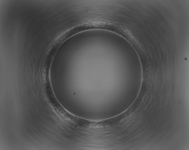 X0000084020640200702232233