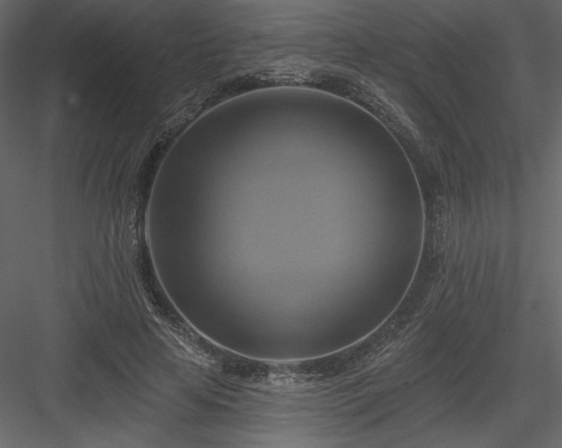 X0000084020641200702232233