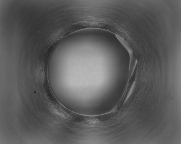 X0000084020642200702232233
