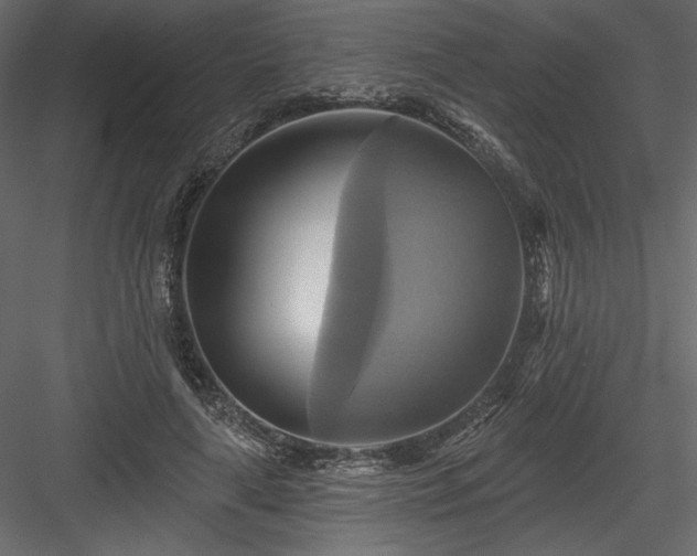 X0000084020643200702232233