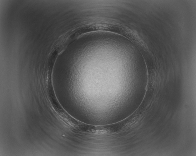 X0000084020645200702232233