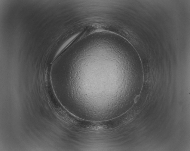 X0000084020646200702232233