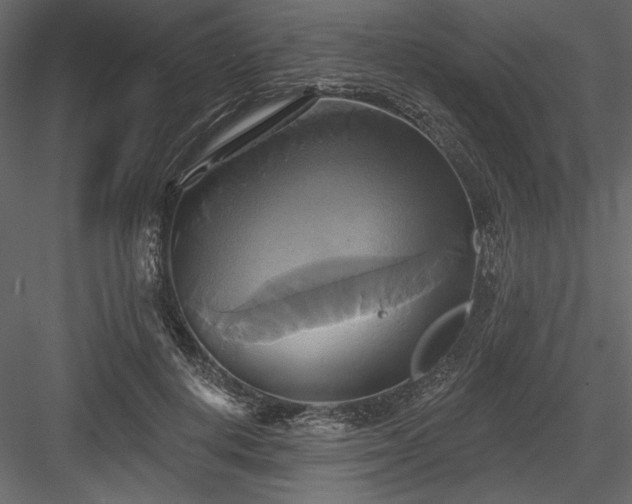 X0000084020648200702232233