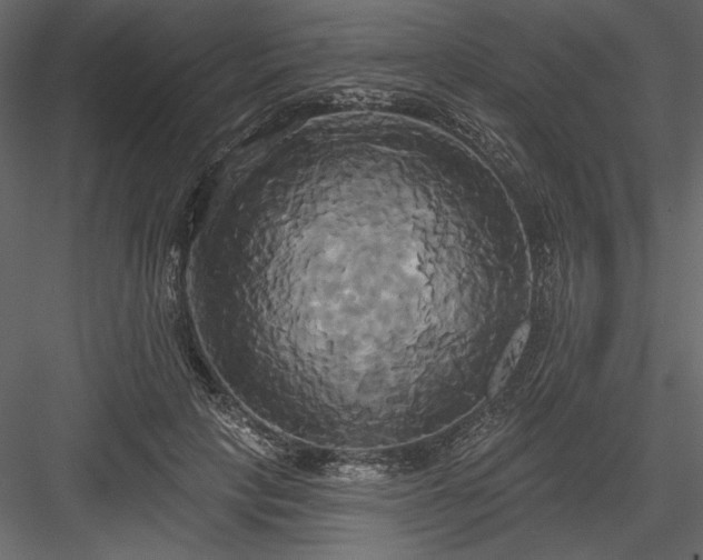 X0000084020649200702232233