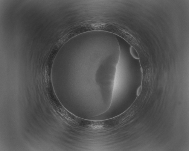 X0000084020651200702232233