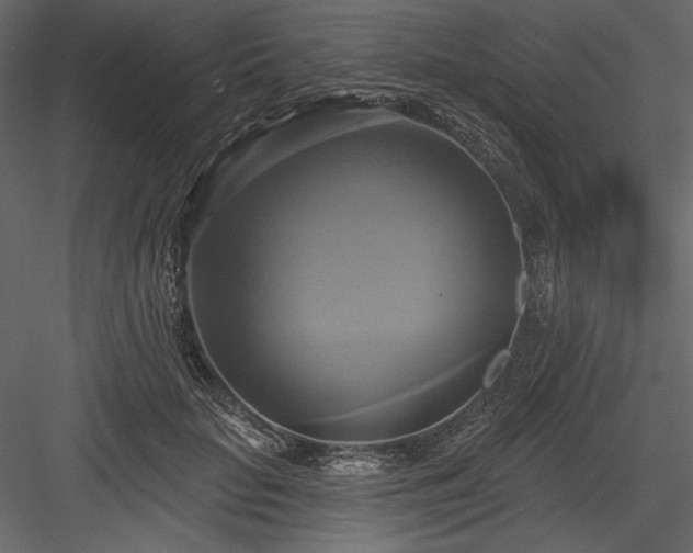 X0000084020653200702232233
