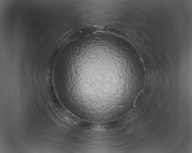 X0000084020656200702232233
