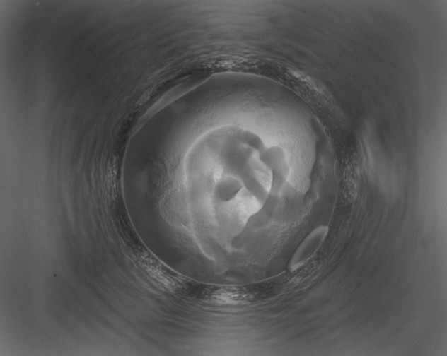 X0000084020657200702232233