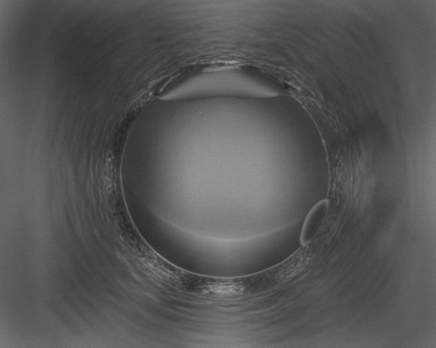 X0000084020659200702232233