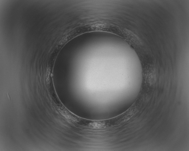 X0000084020660200702232233