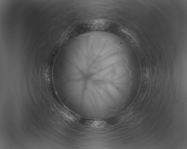X0000084020663200702232233