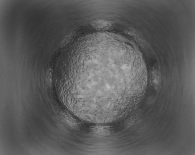 X0000084020664200702232233