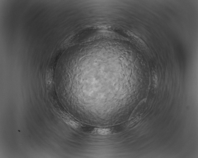 X0000084020665200702232233