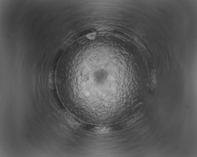 X0000084020667200702232233