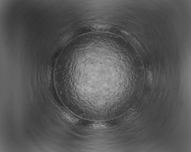 X0000084020668200702232233