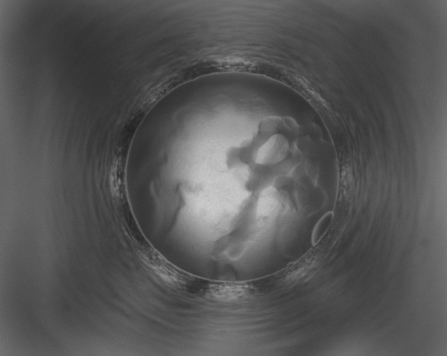X0000084020671200702232233