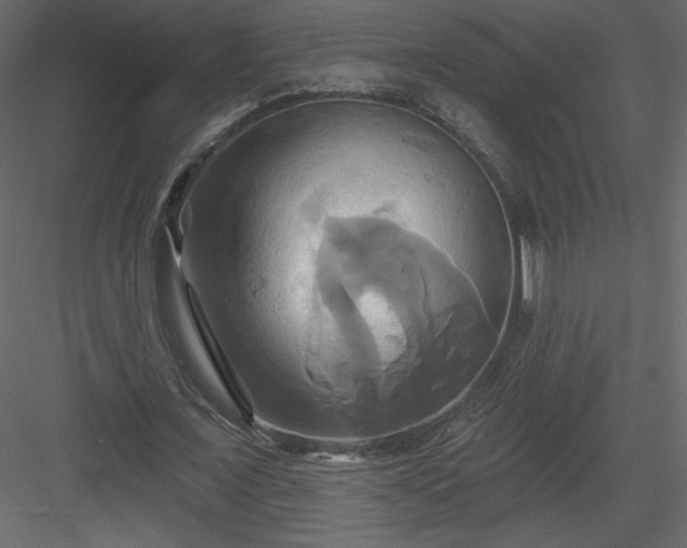 X0000084020675200702232232