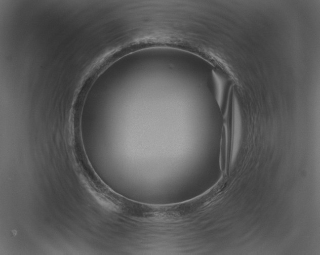 X0000084020678200702232232