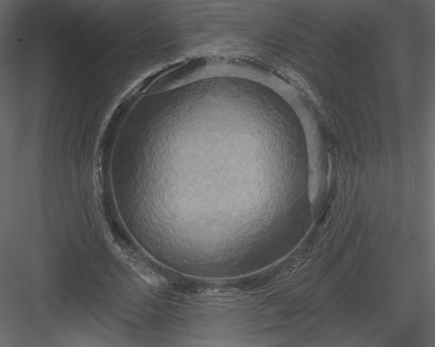 X0000084020680200702232232