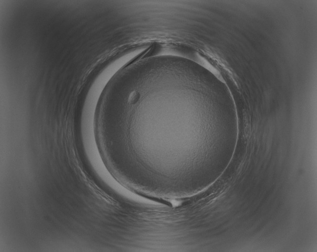 X0000084020681200702232232