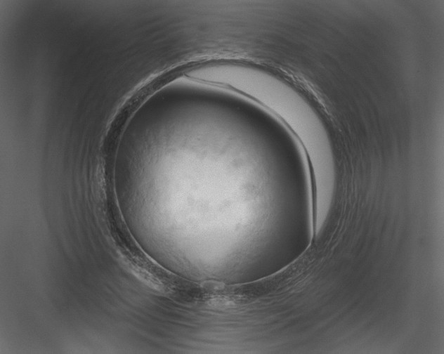 X0000084020684200702232232