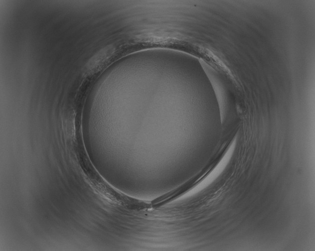 X0000084020685200702232232