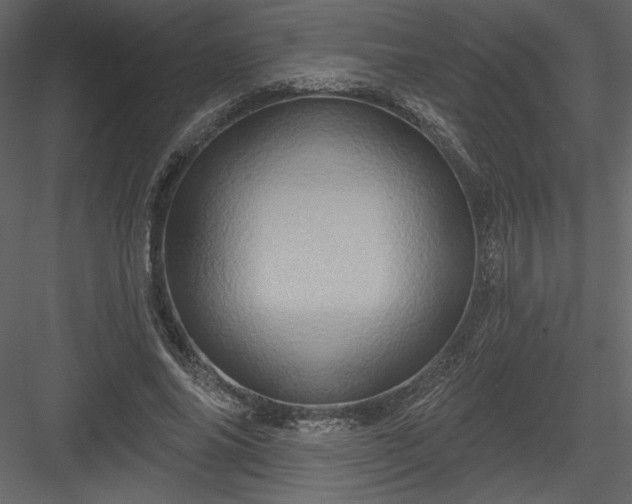 X0000084020686200702232232