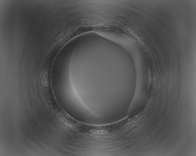 X0000084020689200702232232