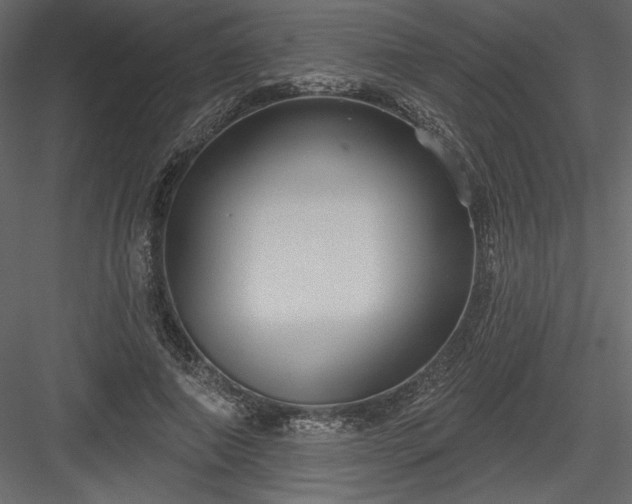 X0000084020690200702232232