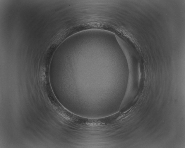 X0000084020693200702232232