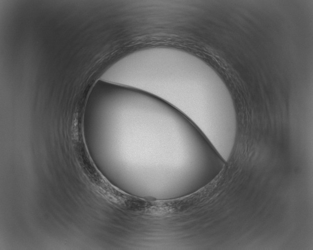 X0000084020696200702232232