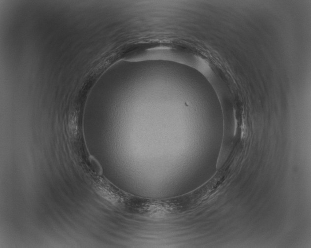 X0000084020697200702232232