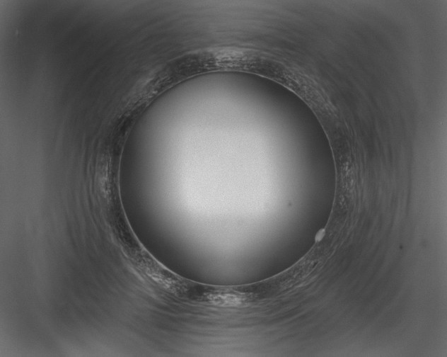 X0000084020698200702232232
