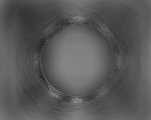 X0000084020701200702232232