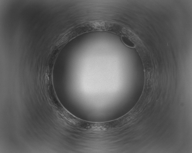 X0000084020702200702232232