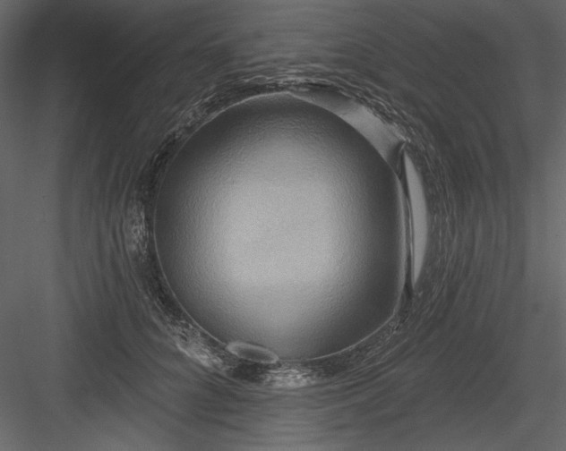 X0000084020704200702232232