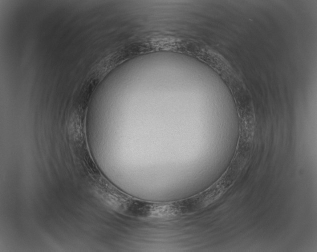 X0000084020705200702232232