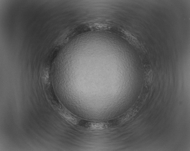 X0000084020709200702232232